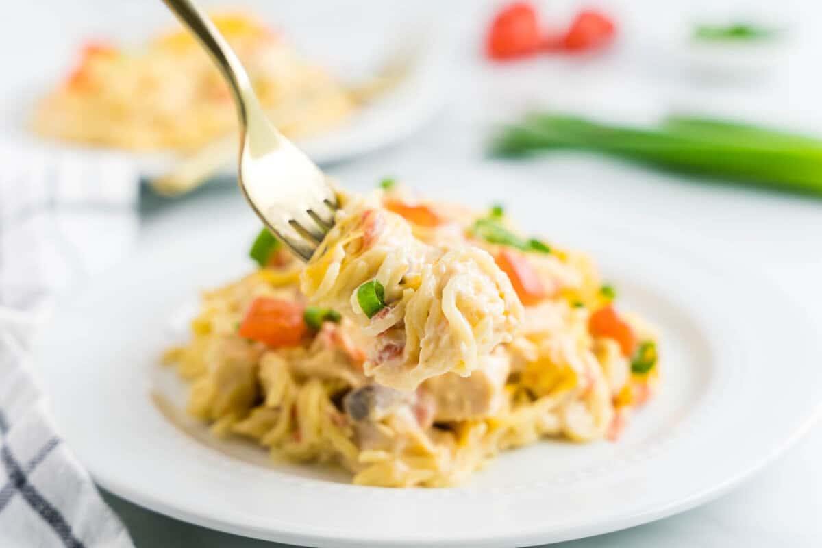 Chicken Mexican Spaghetti on Plate Ready for the First Bite