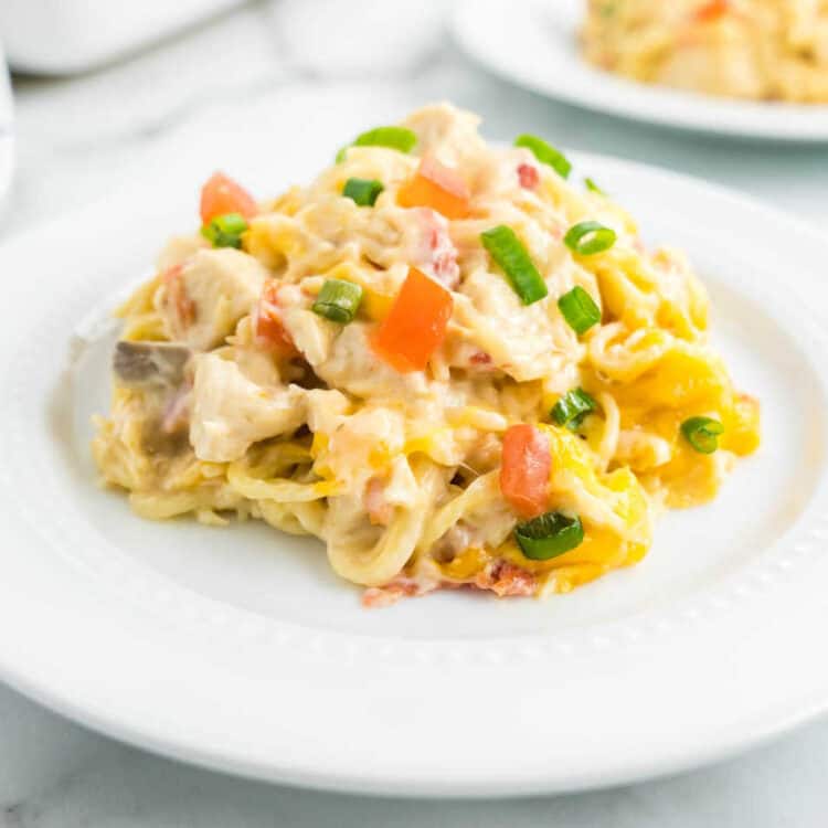 Mexican Chicken Spaghetti Casserole Recipe Hot out of the Oven