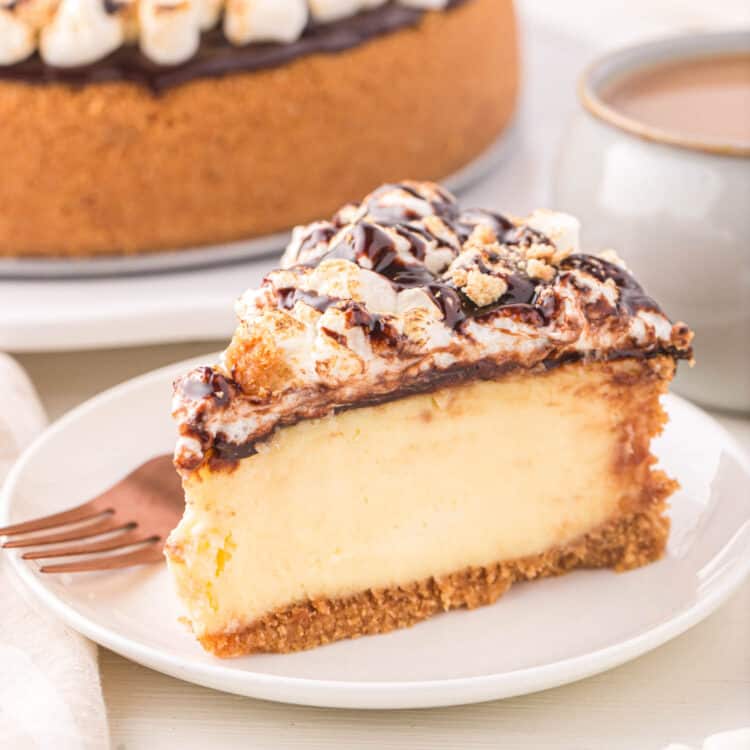 Sliced S'mores Cheesecake on Plate Ready to Enjoy