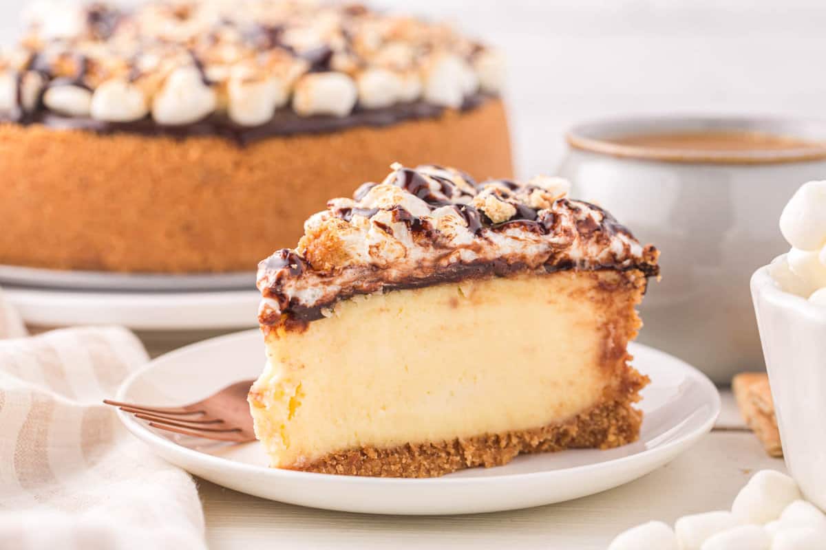 S'mores Cheesecake Recipe on Plate