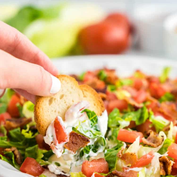 Cold BLT Dip Recipe