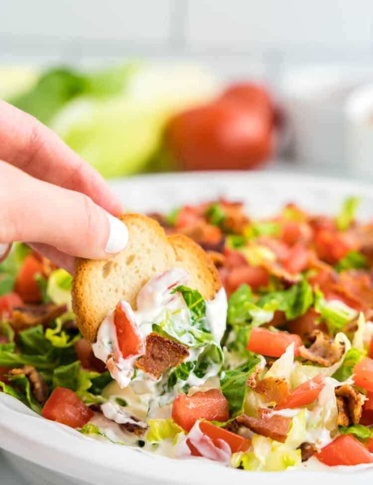 Cold BLT Dip Recipe