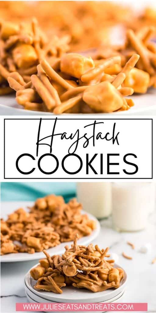 Haystack Cookies JET Pin Image