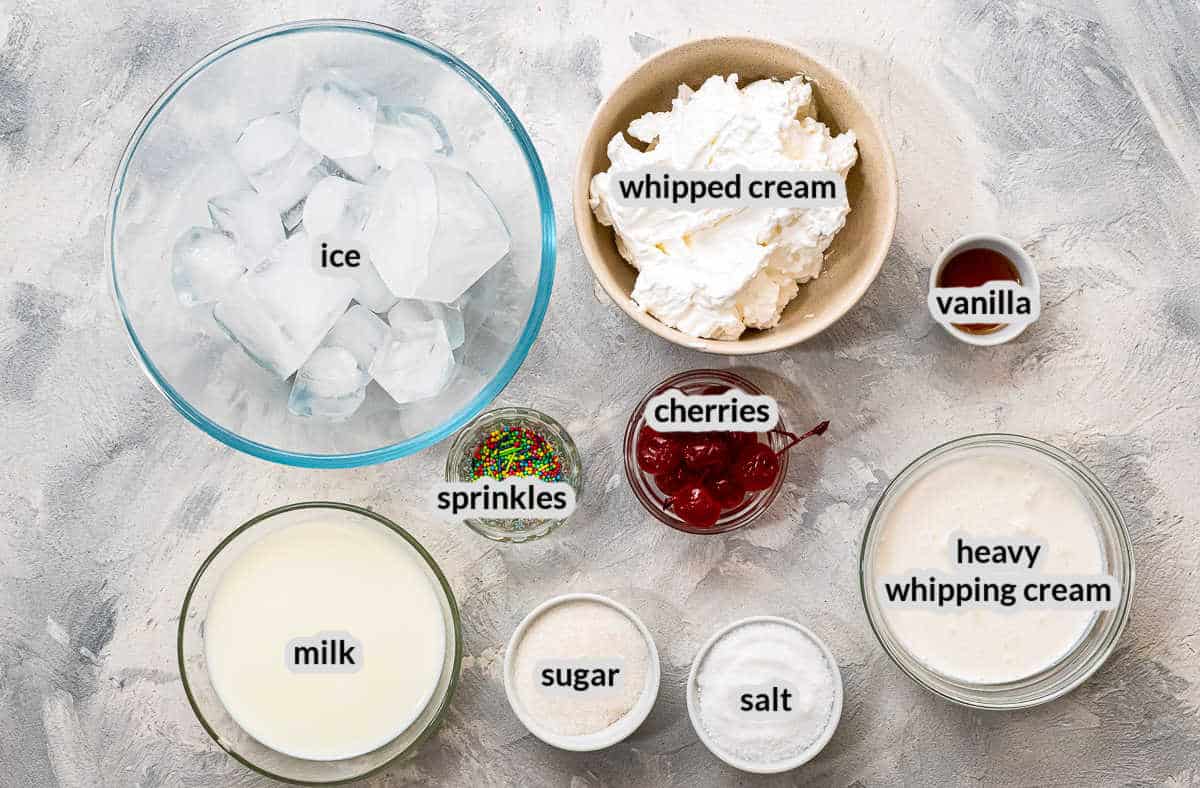Overhead Image of the Ice Cream in a Bag Ingredients