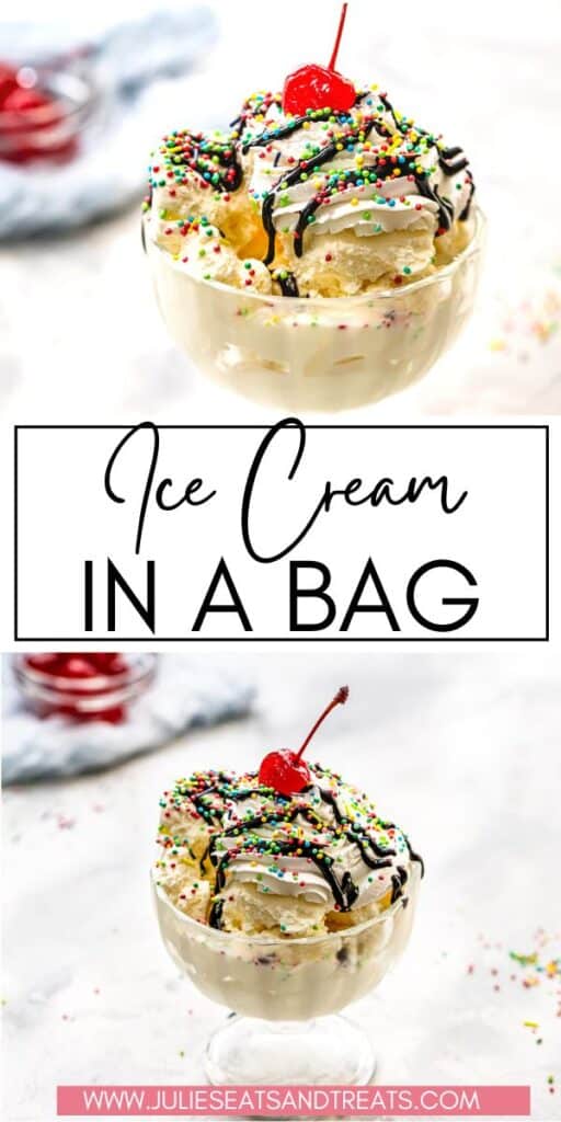 Ice Cream in a Bag JET Pin Image