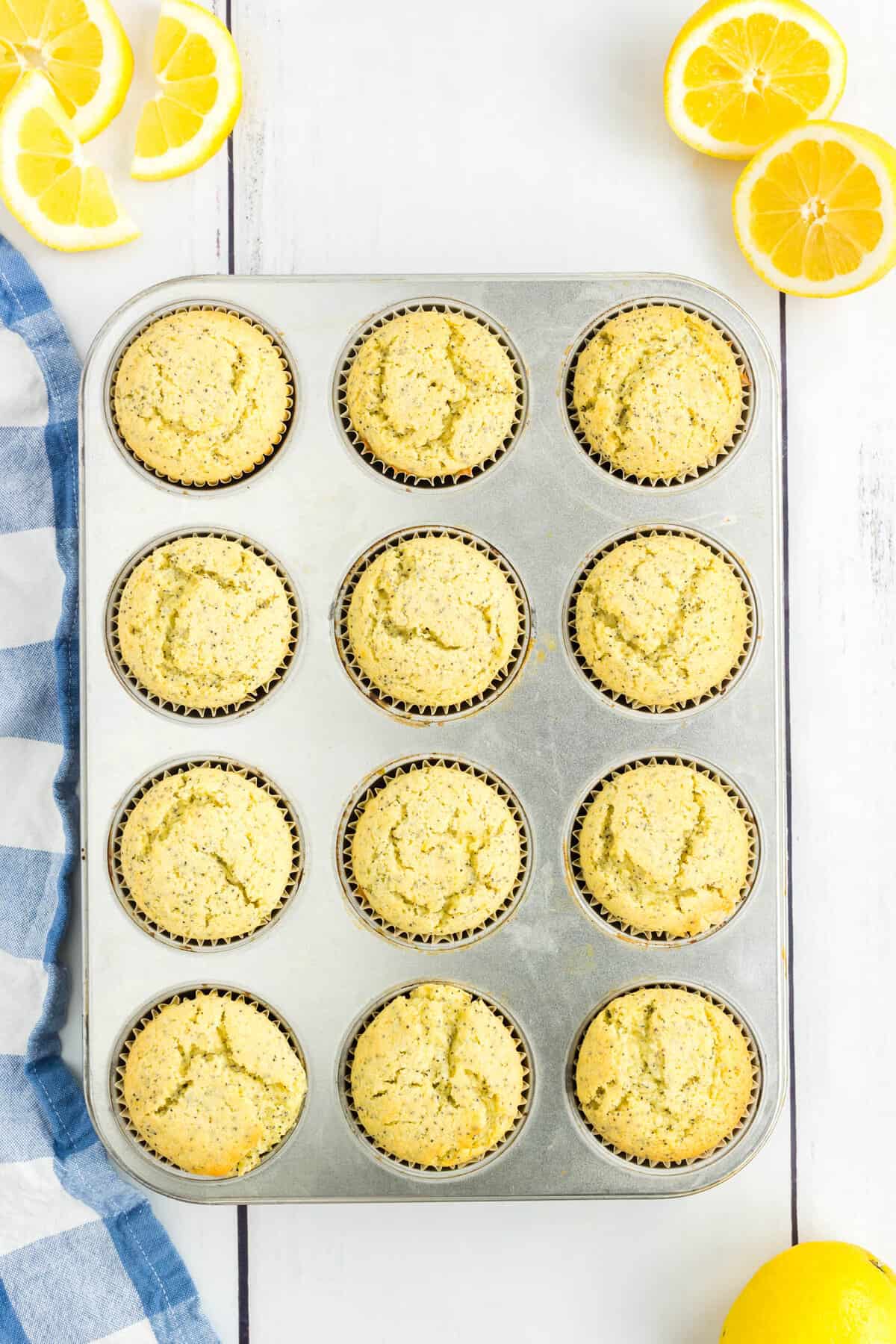 Lemon Poppy Seed Muffins Fresh Out of the Oven in Muffin Tins