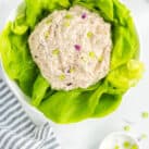 Square cropped image of tuna salad