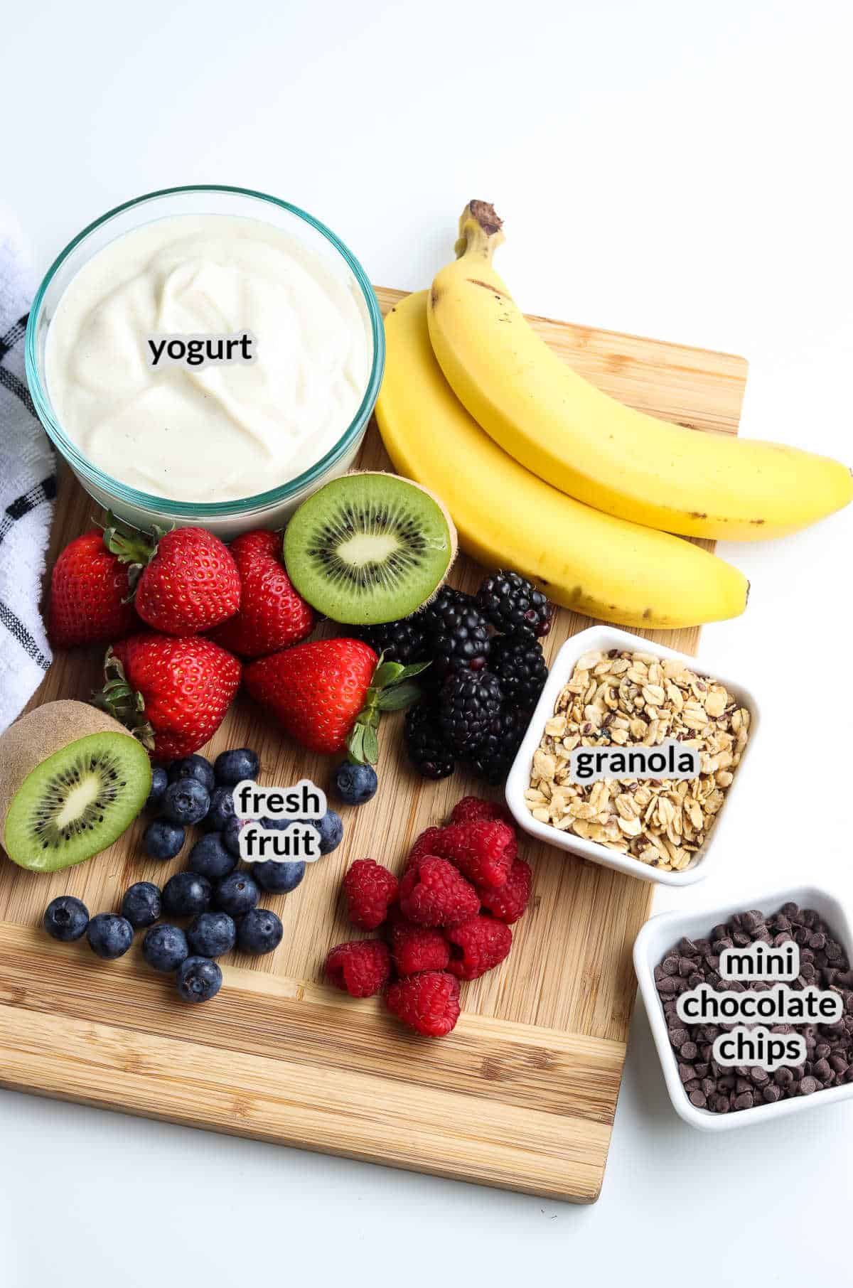 Overhead Image of the Yogurt Bites Ingredients