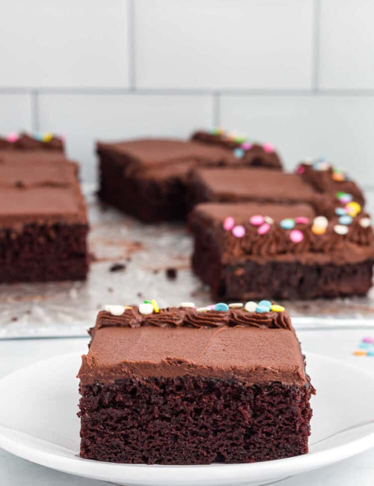 A piece of chocolate sheet cake on white plate