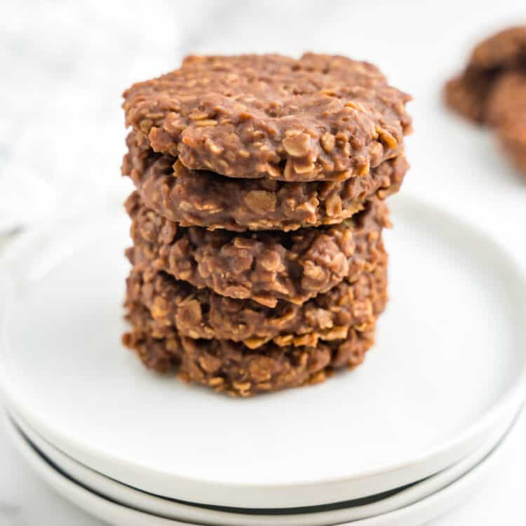 No Bake Cookies Square Image