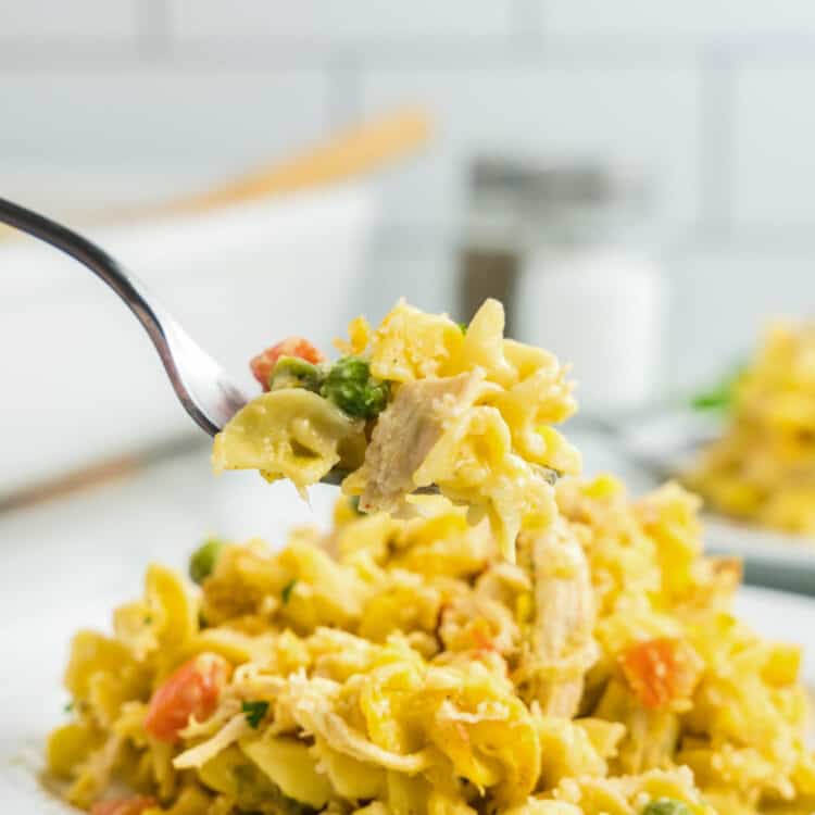 Chicken and Noodle Casserole on Plate with Fork