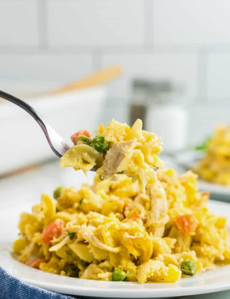 Chicken and Noodle Casserole on Plate with Fork