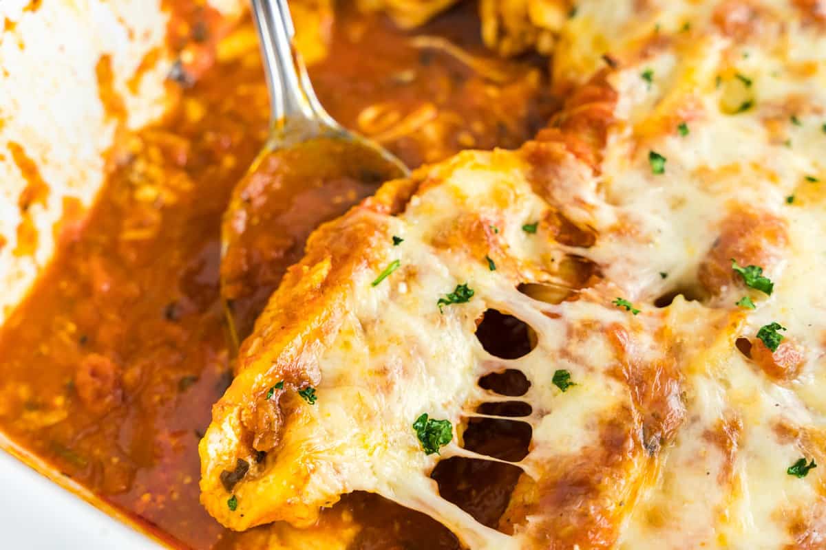 Stuffed Shells with Marinara Hot Out of the Oven 