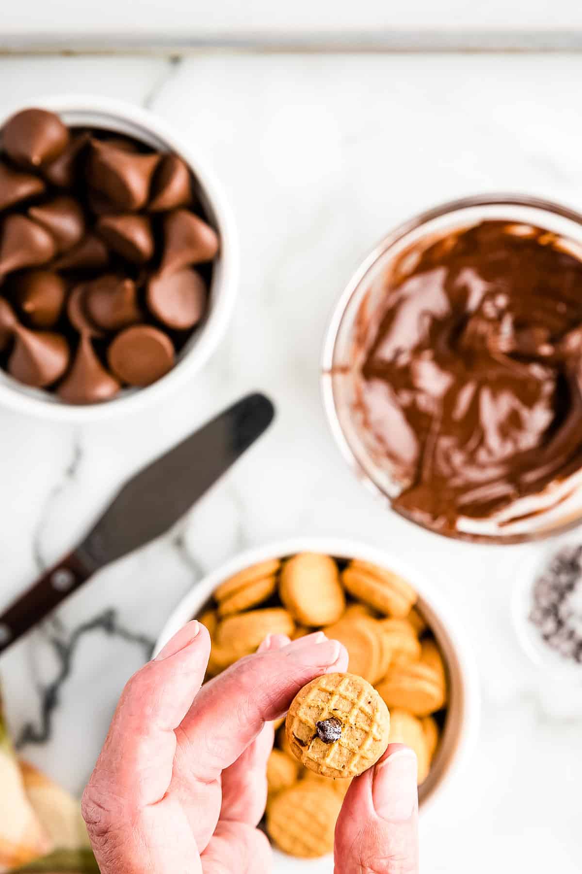 On the Other side of the nutter butter, use melted chocolate to attach a mini chocolate chip as the stem