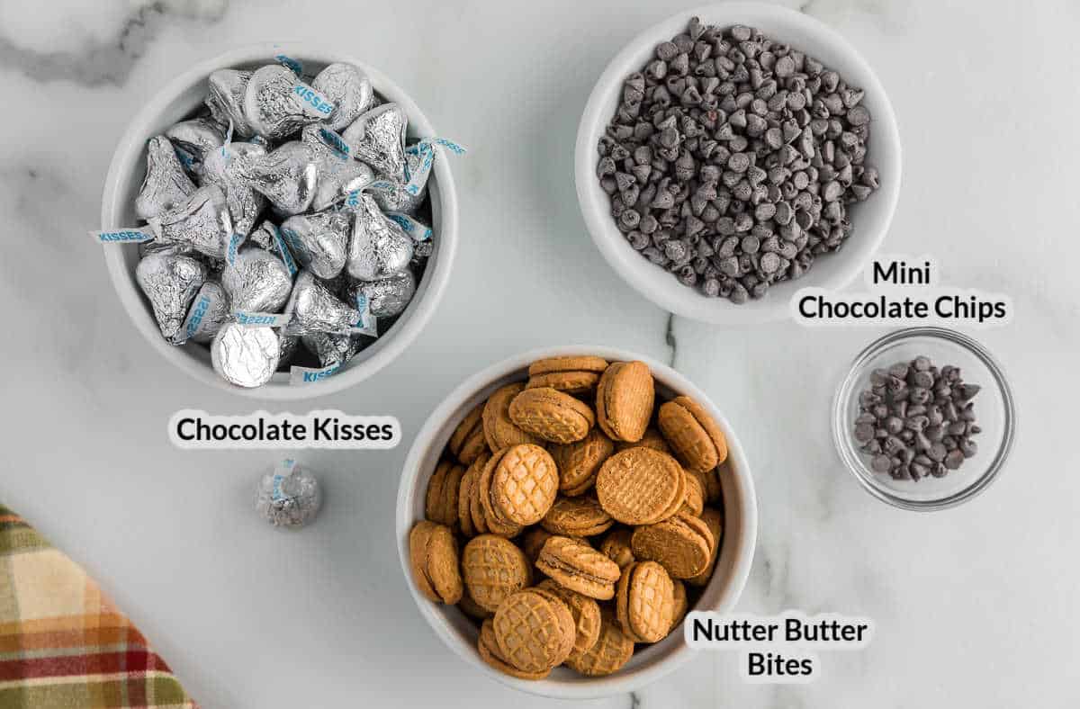 Overhead Image of the Nutter Butter Acorns Ingredients