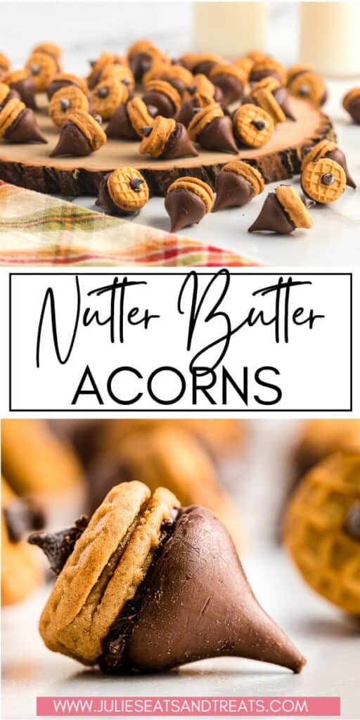 Nutter Butter Acorns JET Pin Image