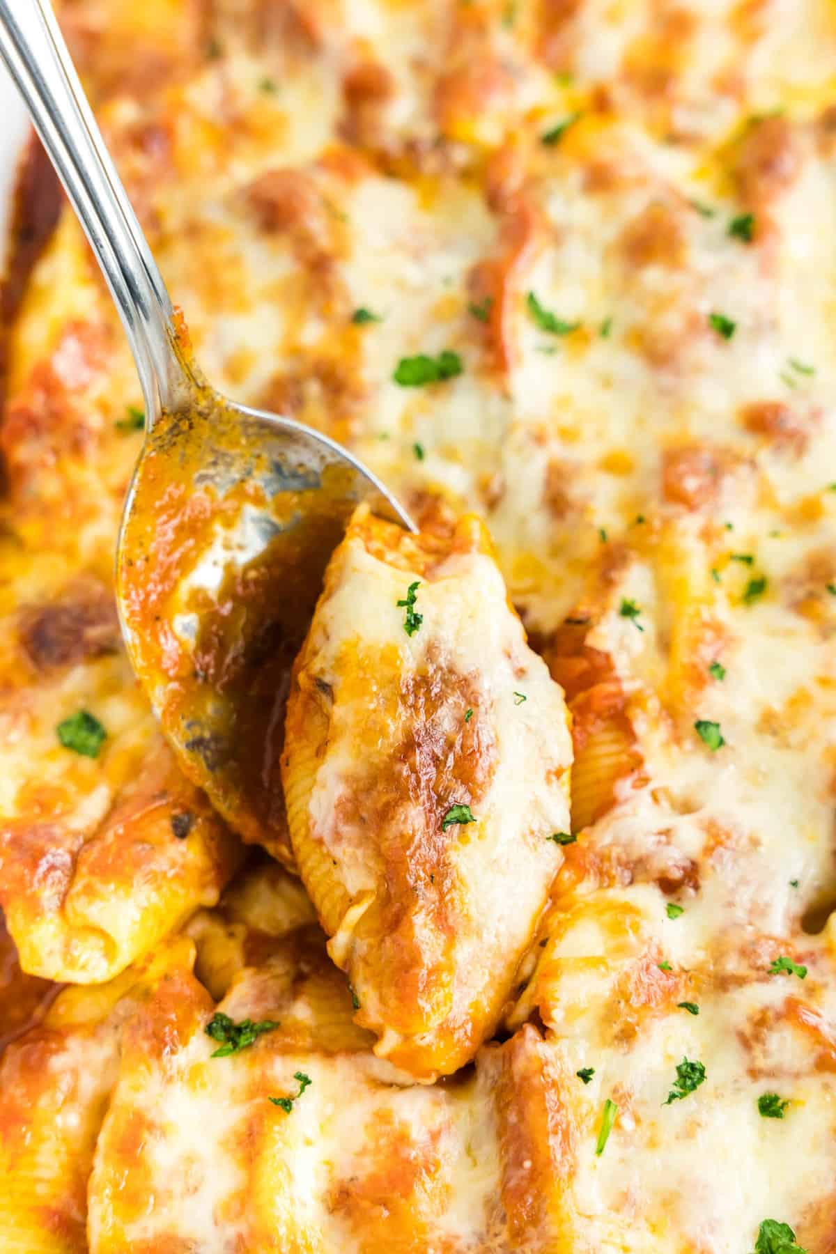 Stuffed Shells Just Out of the Oven with Bubbly Cheese and Oozing Marinara