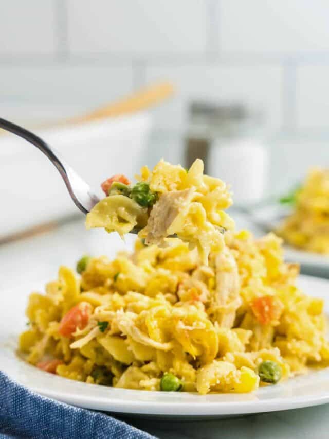 Chicken and Noodle Casserole on Plate with Fork