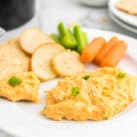 Buffalo Chicken Dip with Dipper Options on Plate