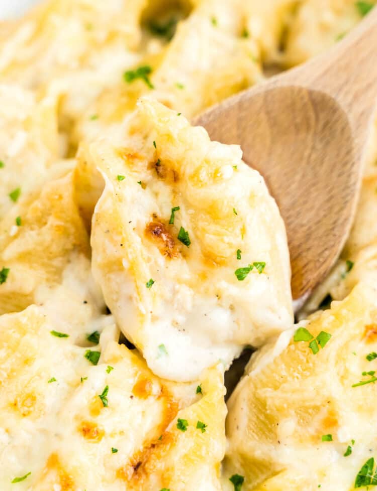 Spoon scooping Chicken Alfredo Stuffed Shells