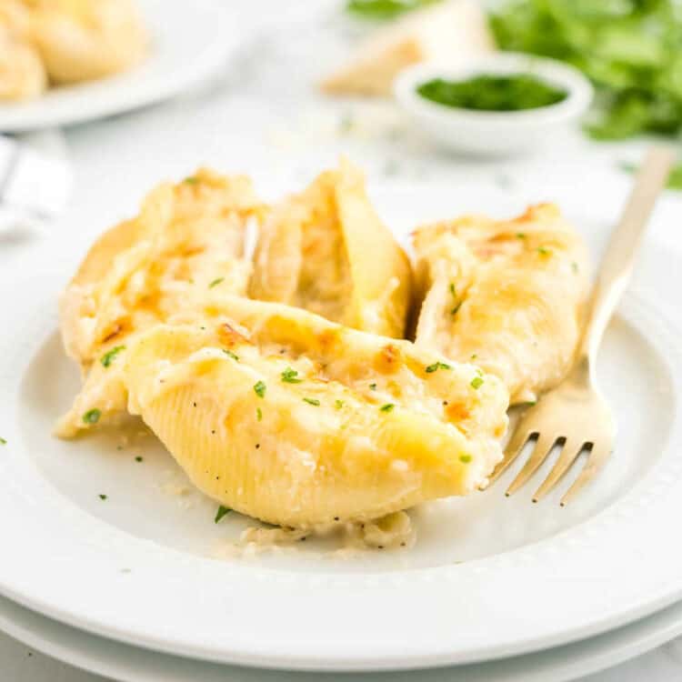 Chicken Alfredo Stuffed Shells on plate bubbling with cheese