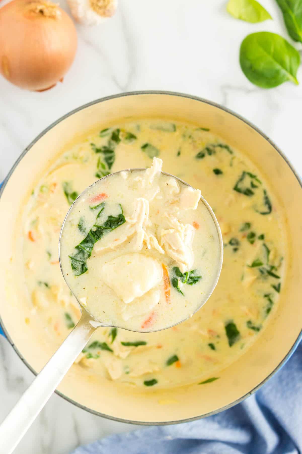 Ladel in Stock Pot for Olive Garden Chicken Gnocchi Soup Recipe