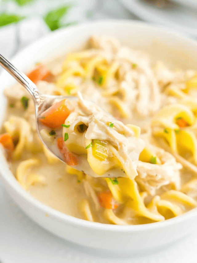 Creamy Chicken Noodle Soup