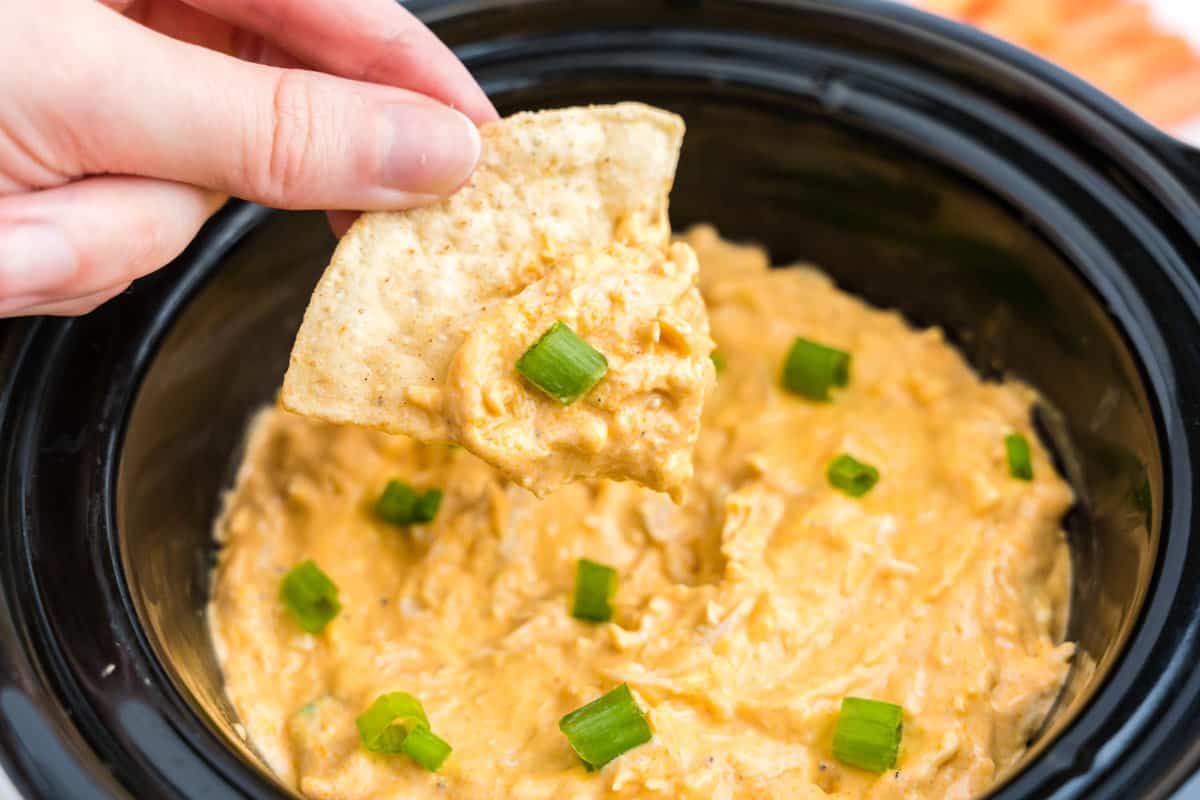 Crock Pot Buffalo Chicken Dip using tortilla chip as a dipper