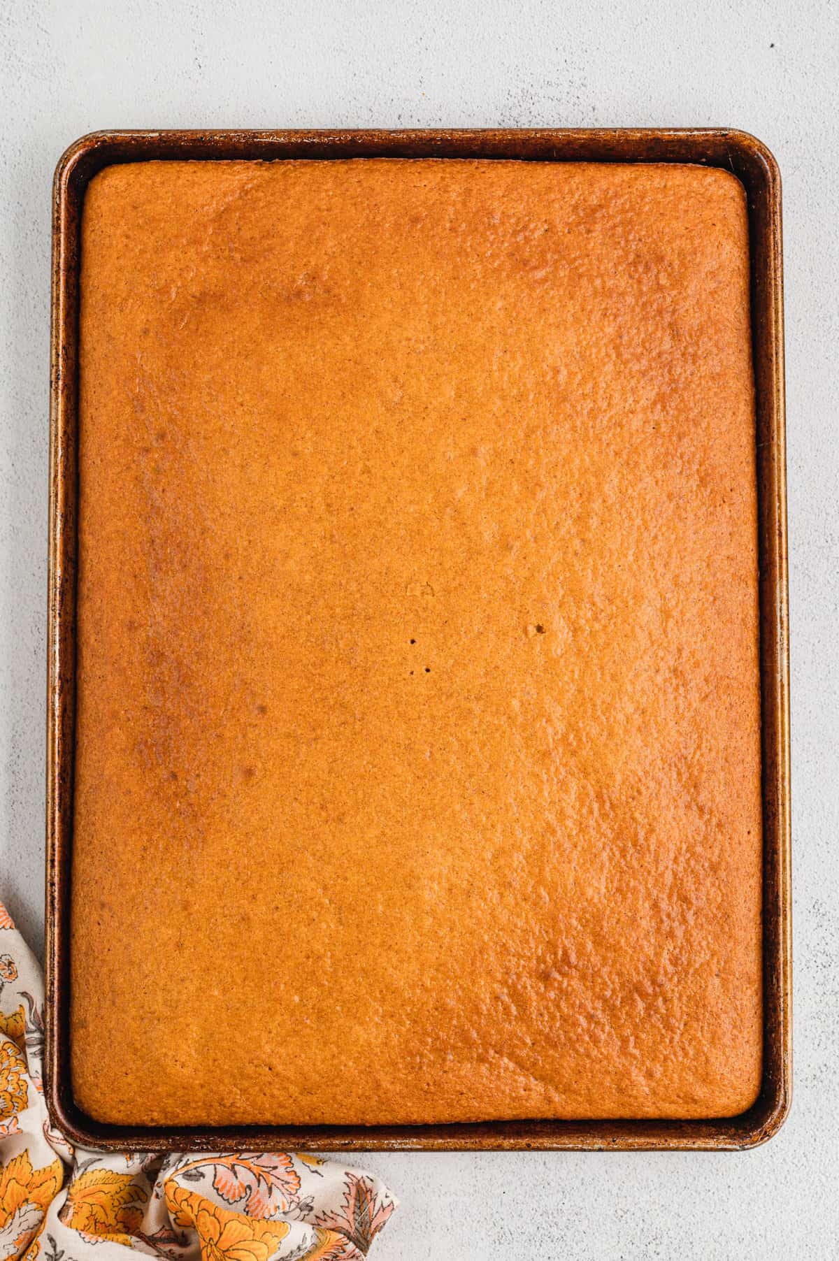 Pumpkin Bars Baked to a Golden Brown in Baking Pan