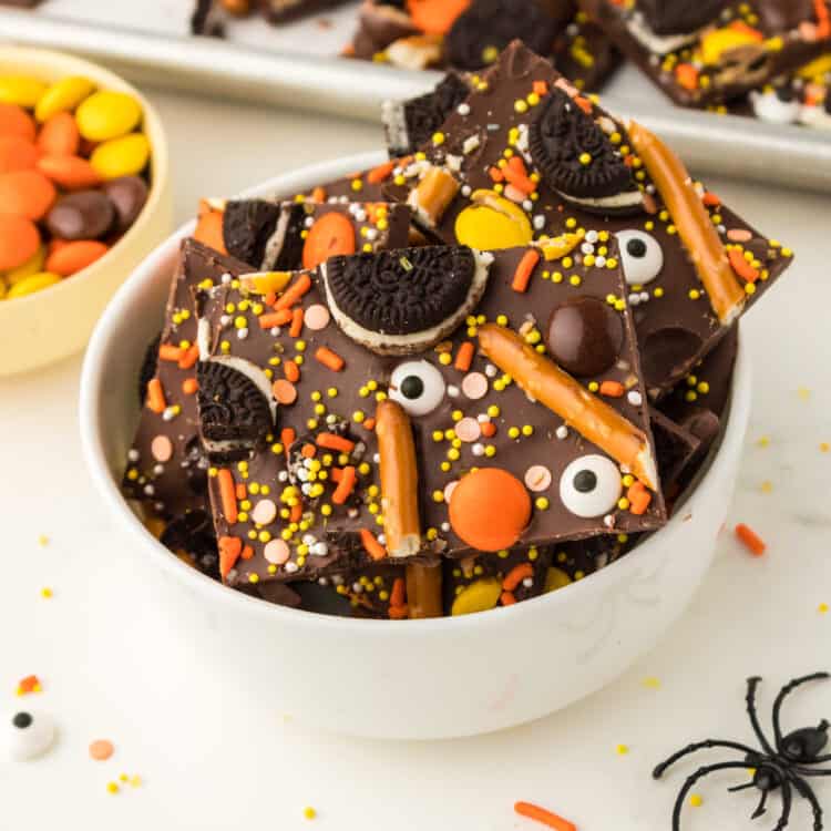 Halloween Bark Square Image