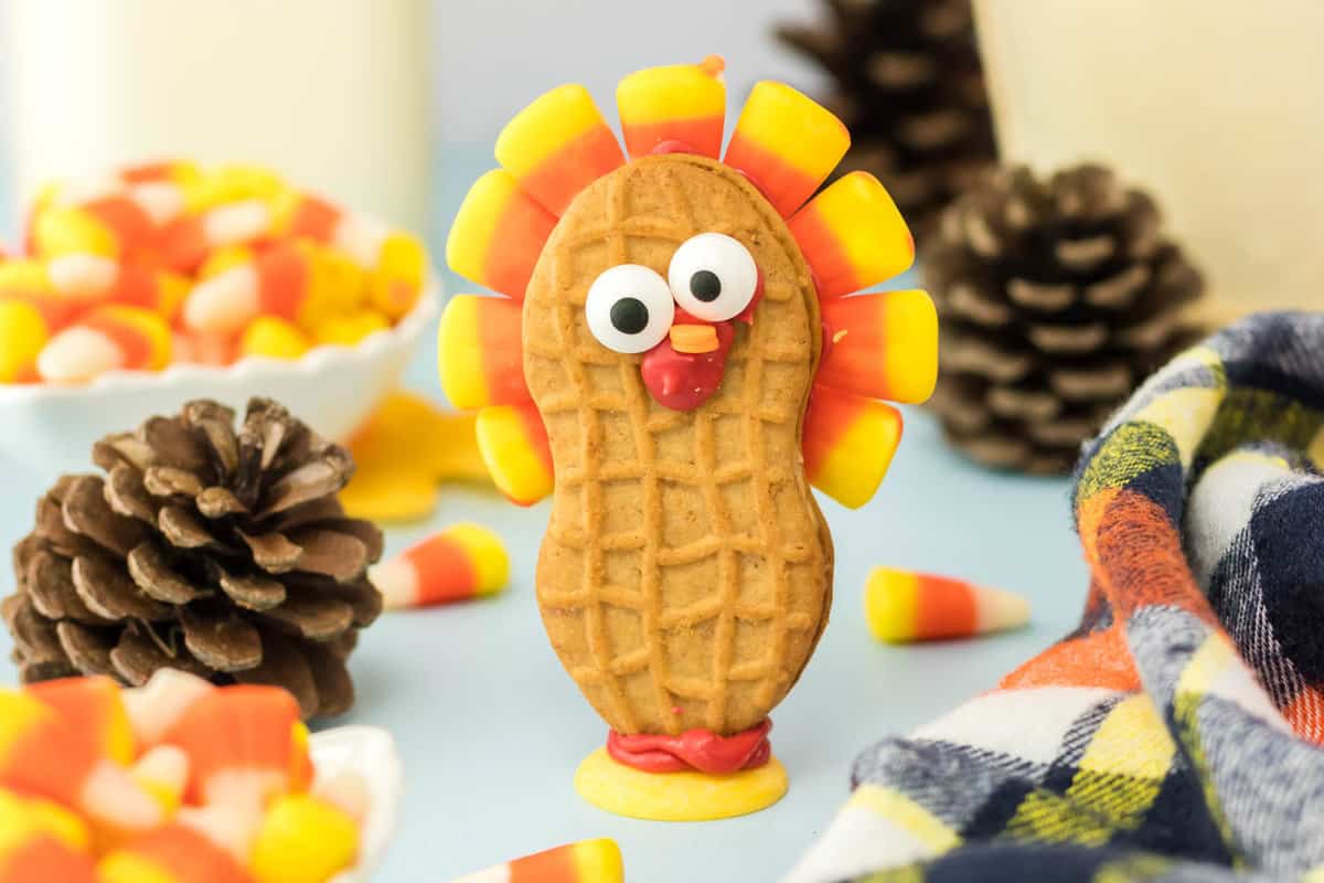 Completed Turkey Cookie Standing Up.