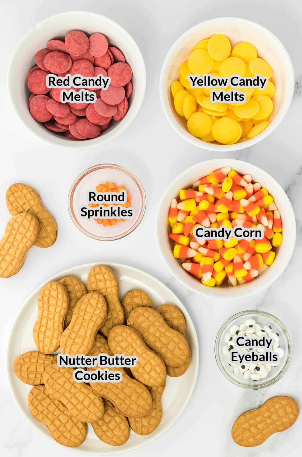 Overhead Image of the Nutter Butter Turkey Ingredients