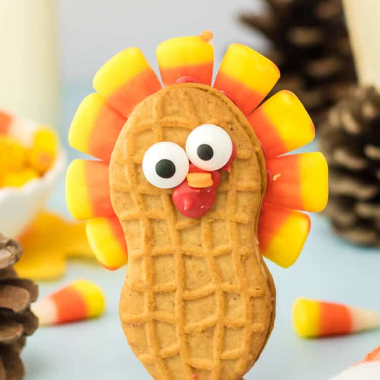 Close Up Photo of a Completed Turkey Cookie Standing upright.