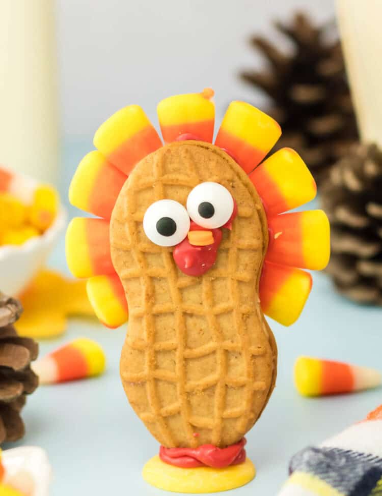 Close Up Photo of a Completed Turkey Cookie Standing upright.