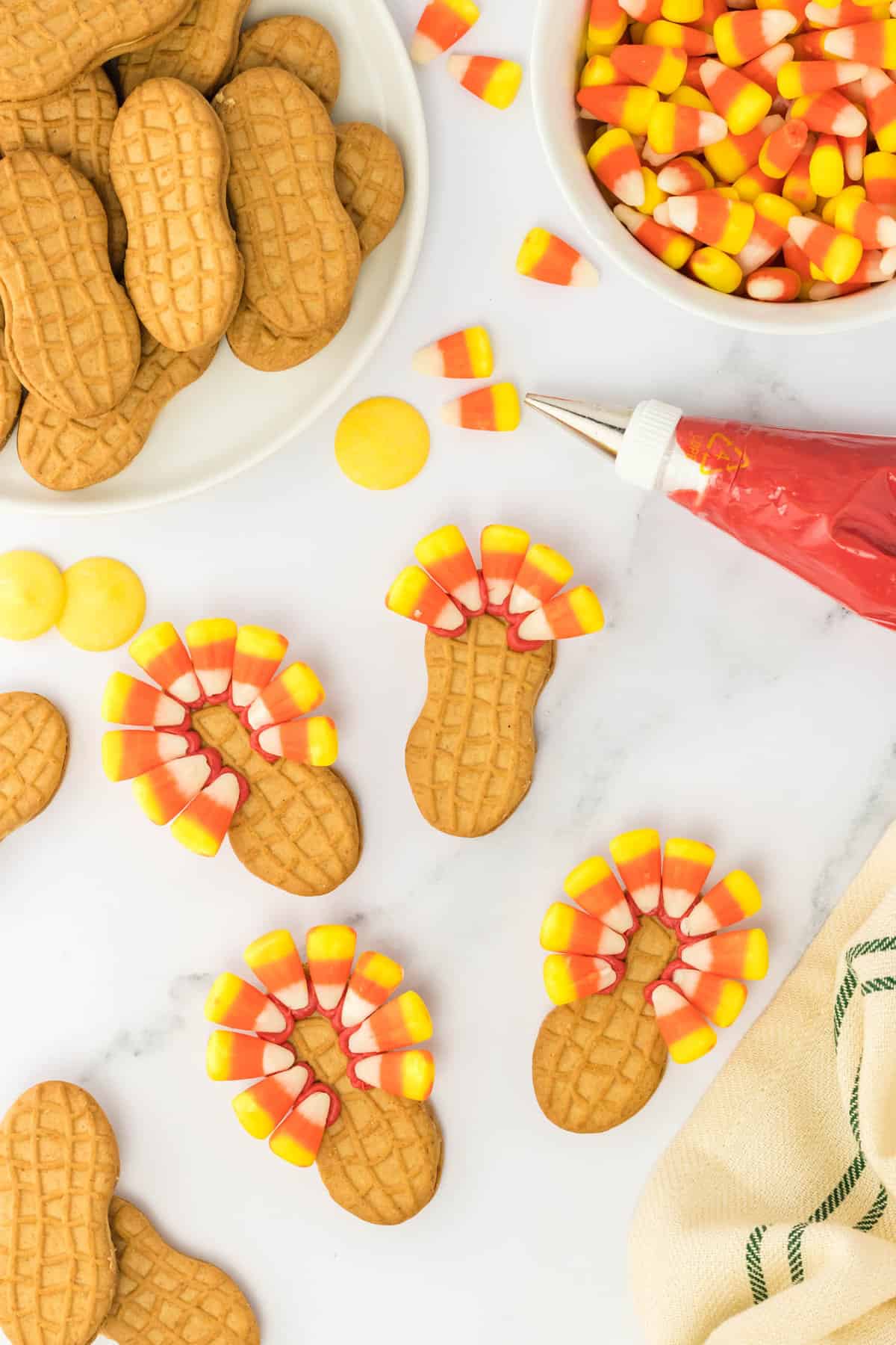 Put the Melted Candy Melts in a Pipped Bag and use it to attach 9 Candy Corns to the Outside Edge of one side of the Nutter Butter.