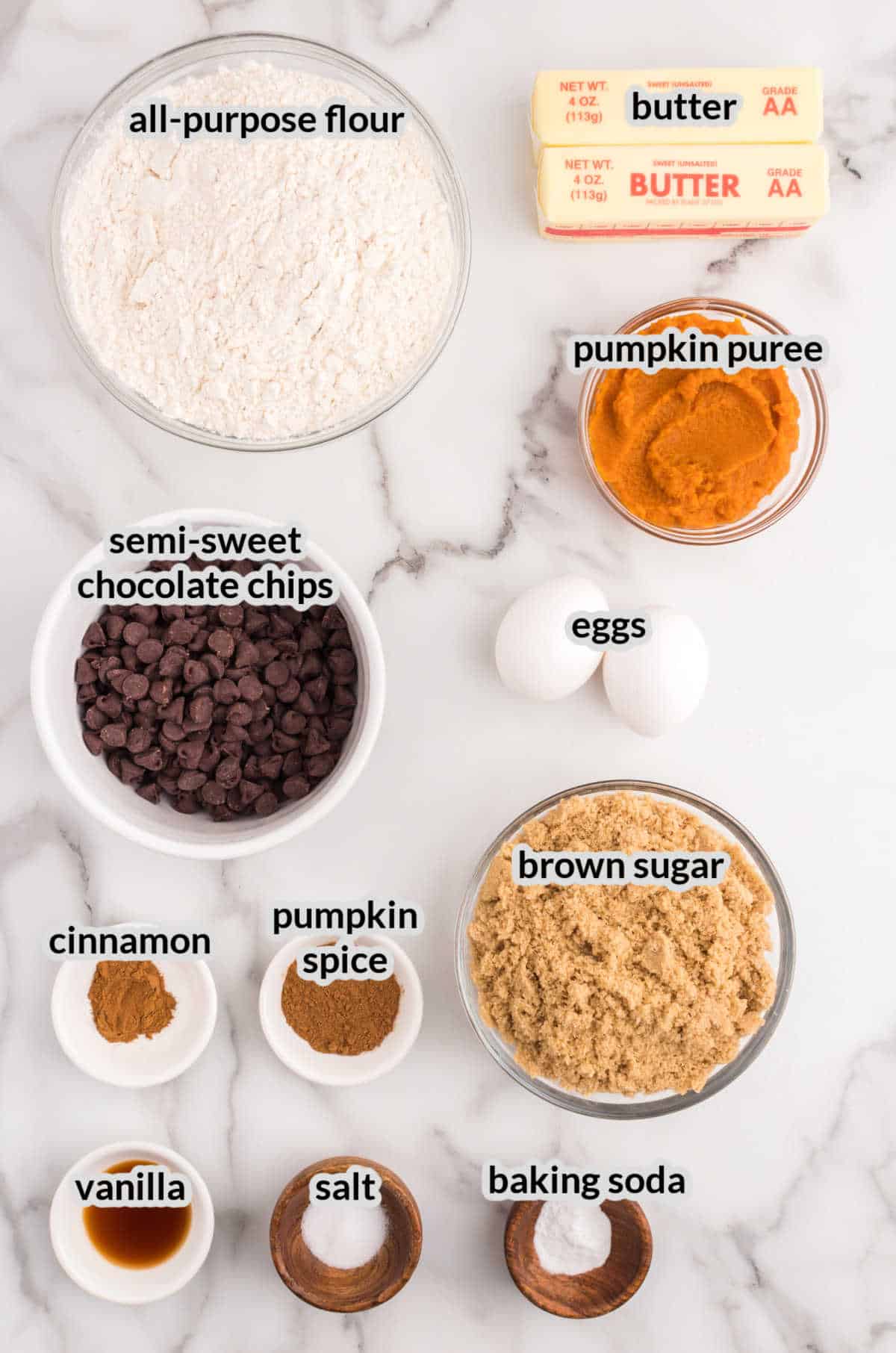 Overhead Image of Pumpkin Chocolate Chip Cookies Ingredients