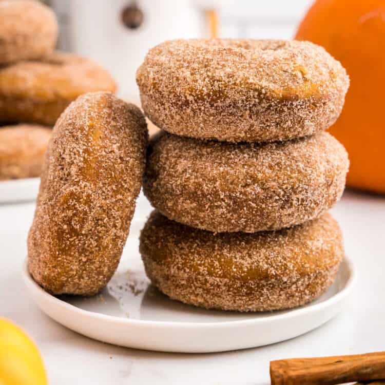 Closeup Pumpkin Donuts Square Image