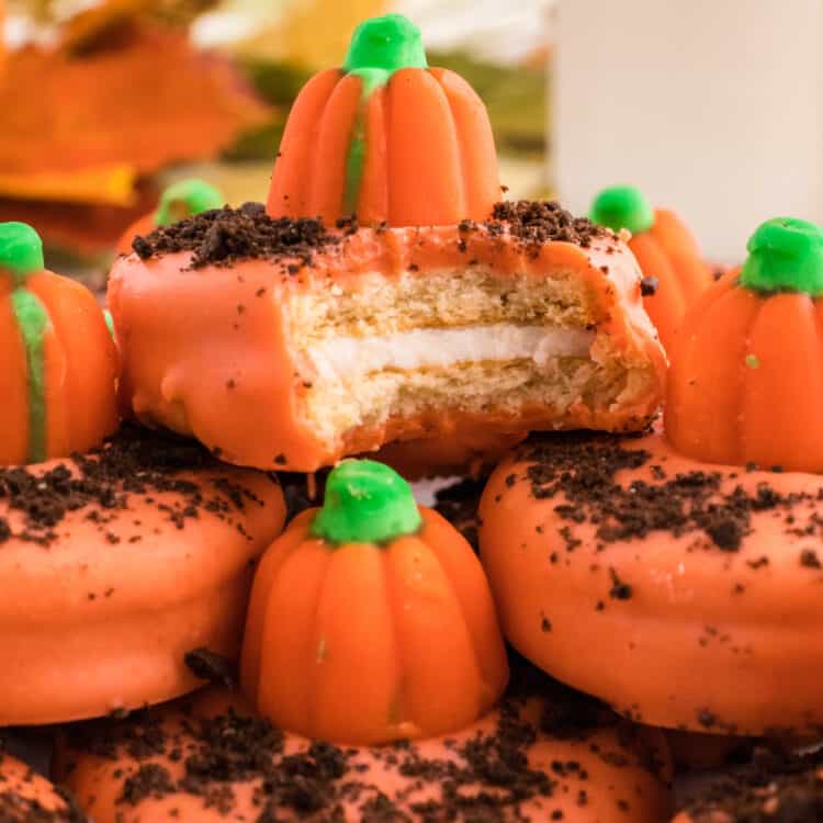 Pumpkin Patch Cookies Square Image