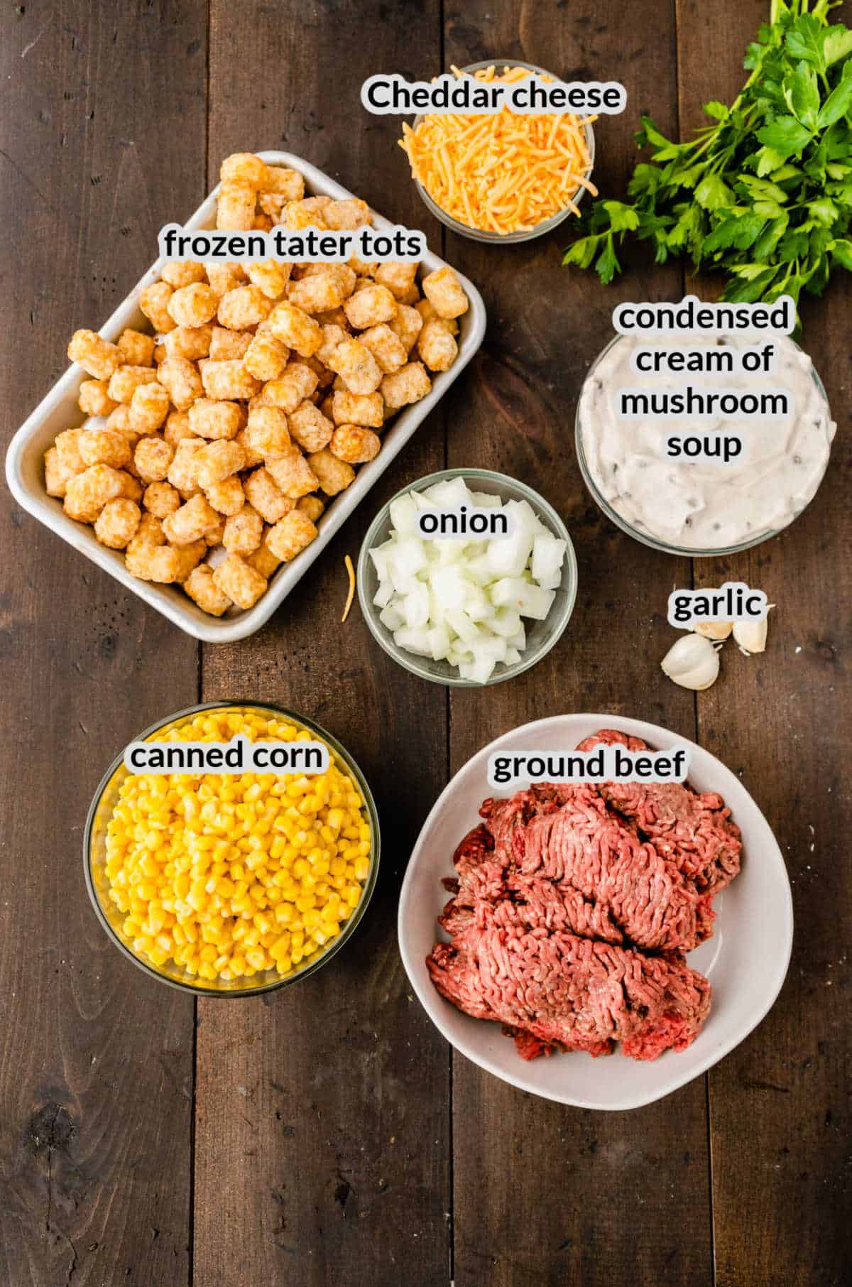 Overhead Image of Tater Tot Casserole Ingredients