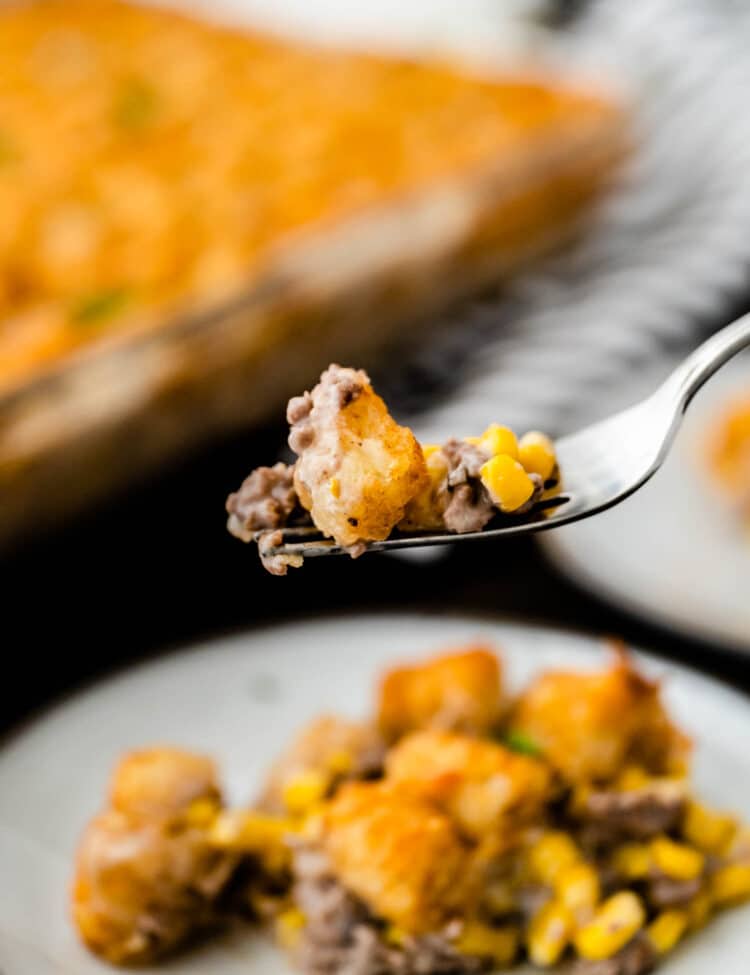 Close up image of Tater Tot Casserole Recipe