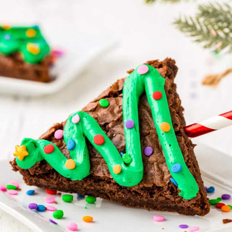 Close up Photo of a Tree Brownie on its side sitting on a white plate with sprinkles.