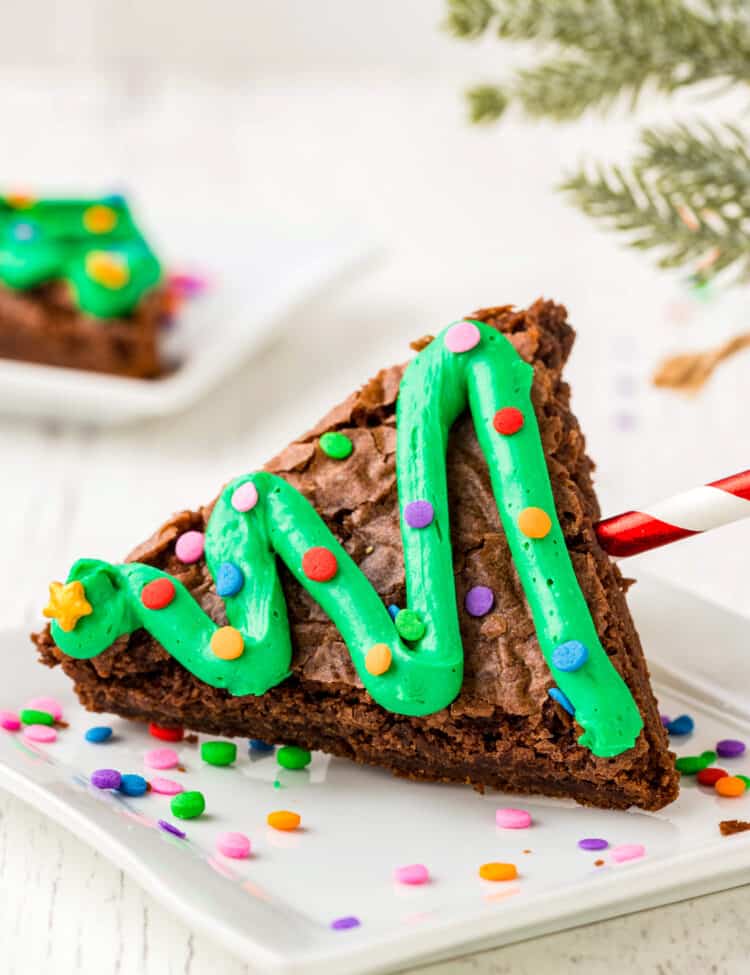 Close up Photo of a Tree Brownie on its side sitting on a white plate with sprinkles.