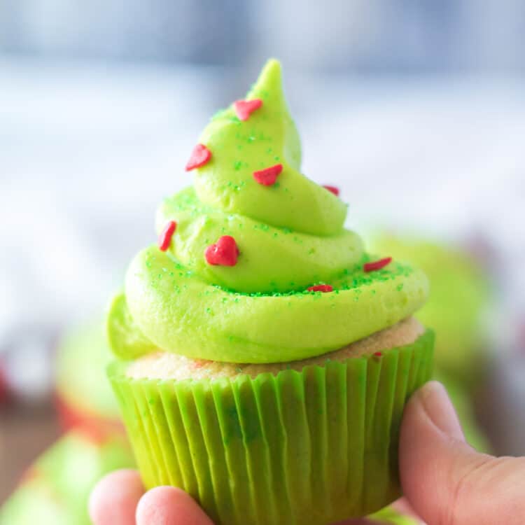 Close up Photo of a Cupcake being held