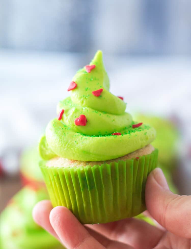 Close up Photo of a Cupcake being held