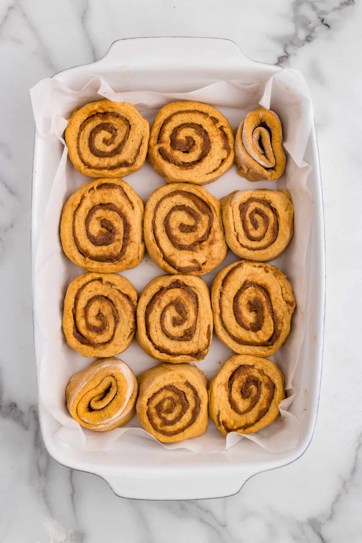 Pumpkin Cinnamon Rolls placed evenly in parchment paper lined 9x13 baking pan