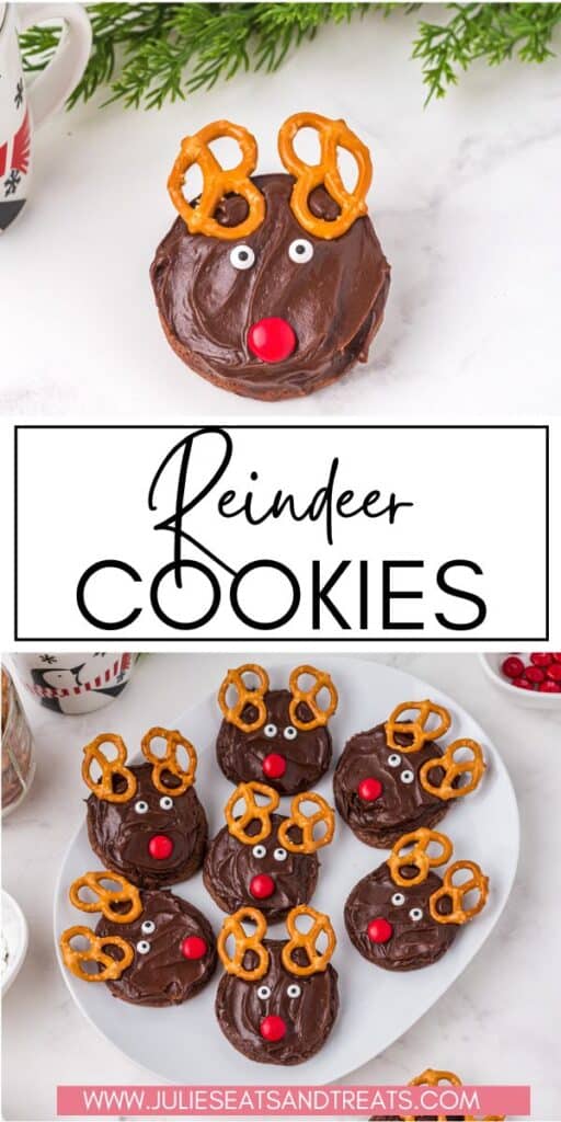 Reindeer Cookies JET Pin Image