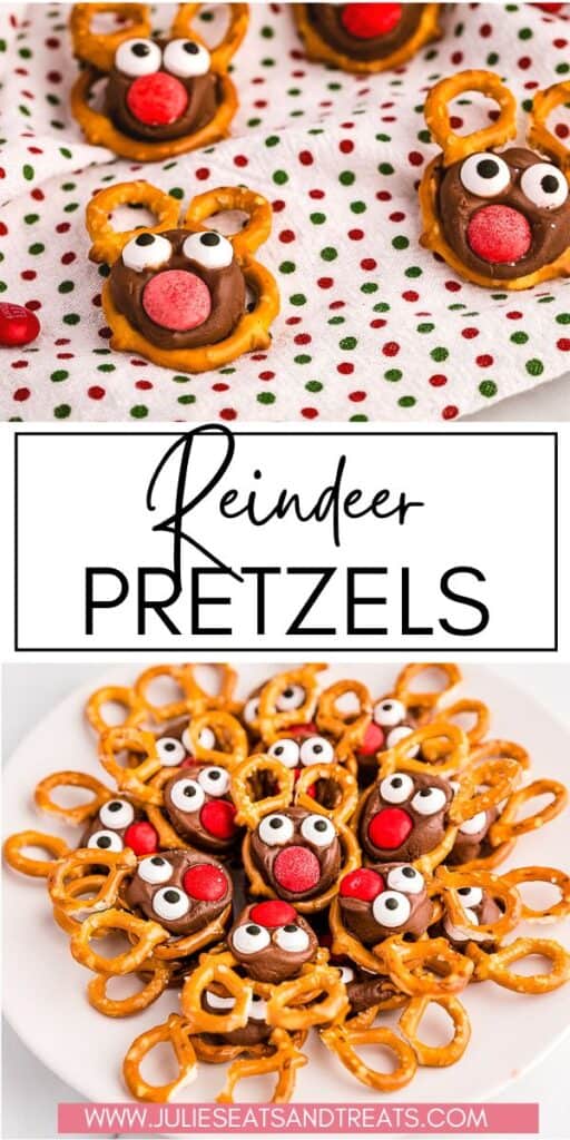 Reindeer Pretzels JET Pin Image