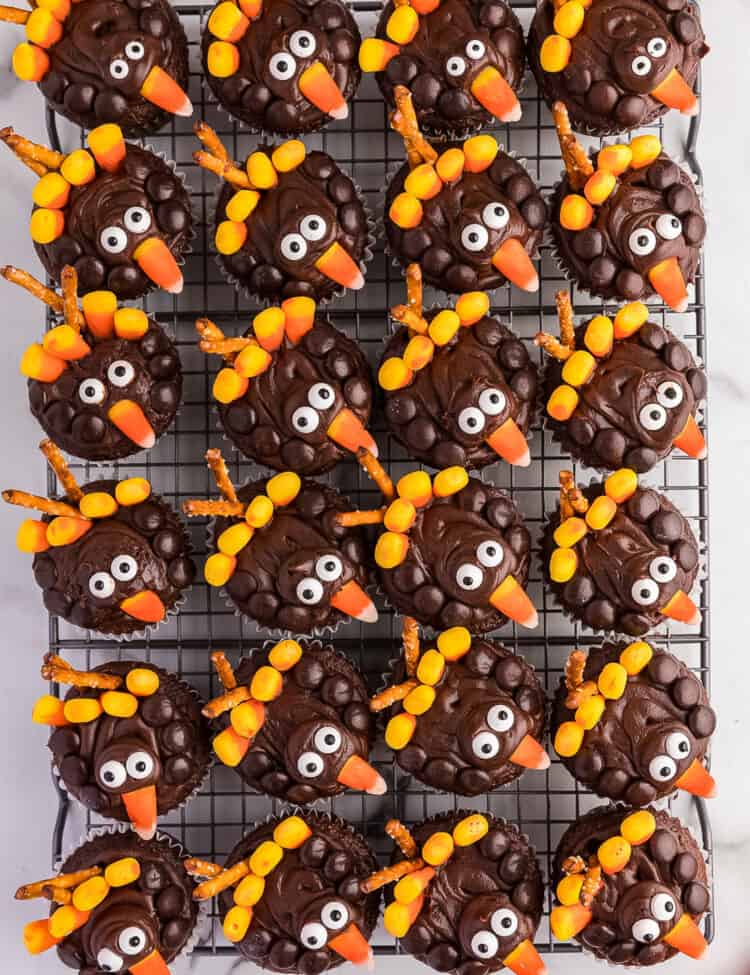 Overview photo of a bunch of turkey cupcakes completed. Looks like a bunch of turkeys looking up at you.