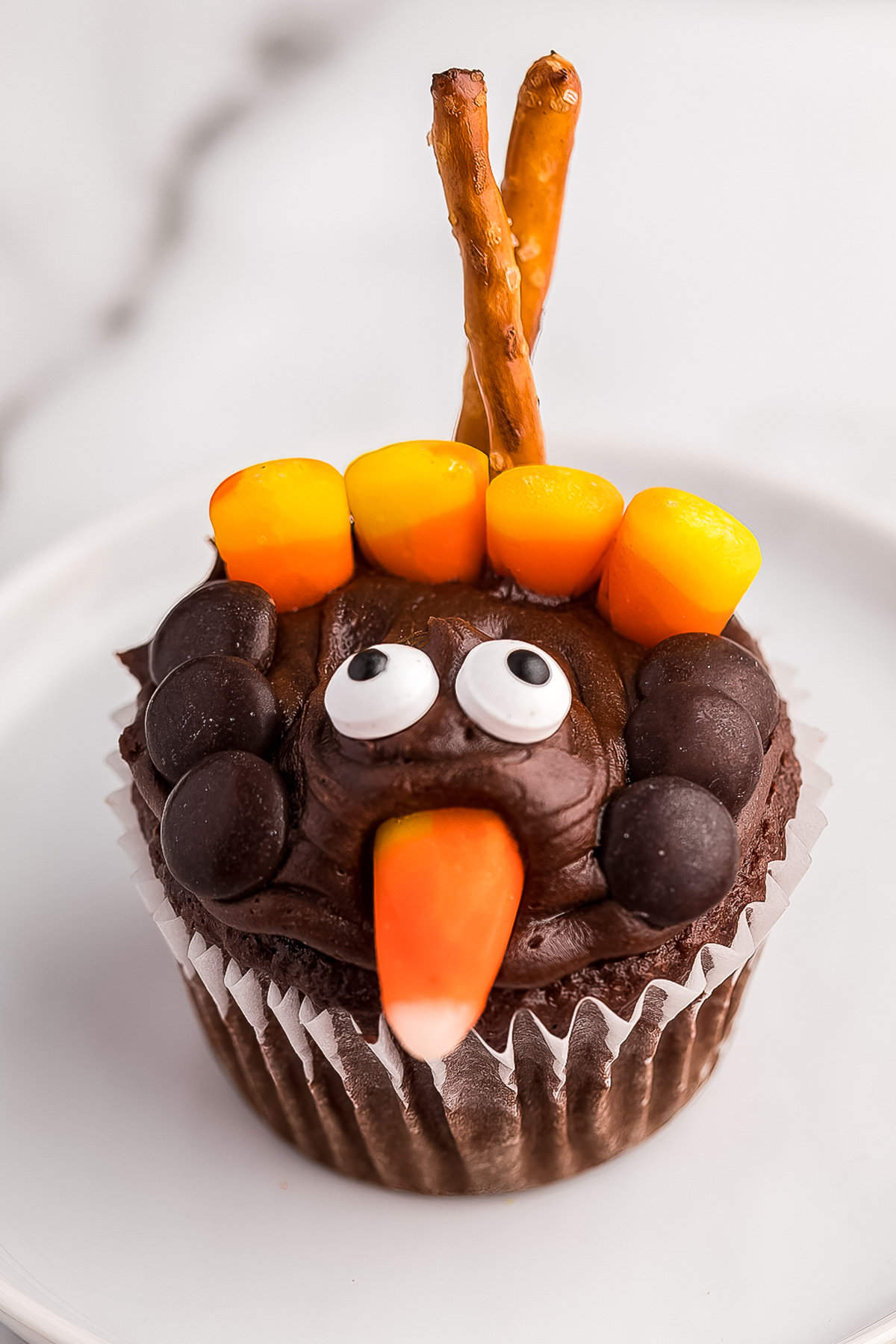 Close up photo of a completed Turkey Cupcake displayed on a white plate.