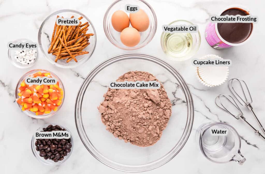 Overhead Image of the Turkey Cupcakes Ingredients